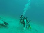 Hawaii Scuba divng 09