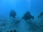 Waikiki scuba 12