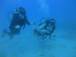 Waikiki scuba 31