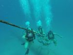 Hawaii Scuba divng 11