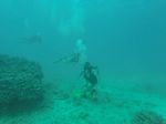 Hawaii Scuba divng 16