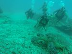 Hawaii Scuba divng 20