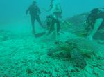 Hawaii Scuba divng 21