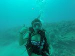 Hawaii Scuba divng 32