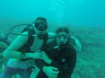 Hawaii Scuba divng 35