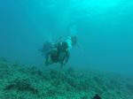 Hawaii Scuba divng 38