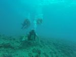 Hawaii Scuba divng 40