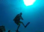 Hawaii Scuba divng 04