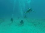 Hawaii Scuba divng 05