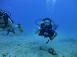 Hawaii Scuba divng 18