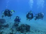 Hawaii Scuba divng 19