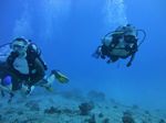 Hawaii Scuba divng 20