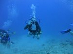 Hawaii Scuba divng 21