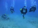 Hawaii Scuba divng 22