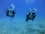 Hawaii Scuba divng 23