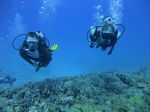 Hawaii Scuba divng 25