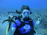 Hawaii Scuba divng 27