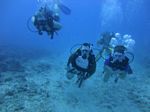 Hawaii Scuba divng 30