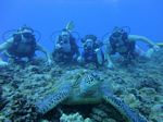 Hawaii Scuba divng 32