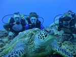 Hawaii Scuba divng 34