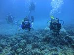 Hawaii Scuba divng 35