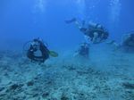 Hawaii Scuba divng 38