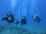 Hawaii Scuba divng 40