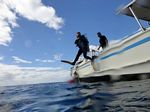 Hawaii Scuba divng 44