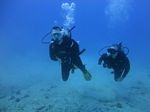 Hawaii Scuba divng 47