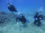 Hawaii Scuba divng 49