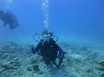 Hawaii Scuba divng 52