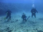 Hawaii Scuba divng 57