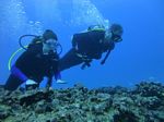 Hawaii Scuba divng 67