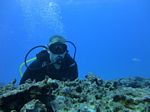 Hawaii Scuba divng 68