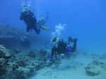 Hawaii Scuba divng 73