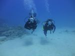 Hawaii Scuba divng 74