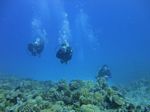 Hawaii Scuba divng 75