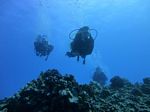 Hawaii Scuba divng 76