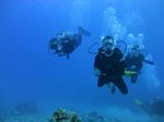 Hawaii Scuba divng 78