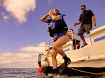 Hawaii Scuba divng 08