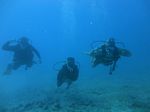 Oahu scuba 01