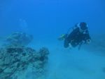 Oahu scuba 39