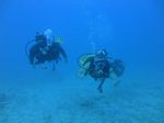 Oahu scuba 04