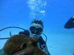 Hawaii scuba 17