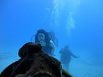 Hawaii scuba 19