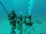 Hawaii Scuba divng 10