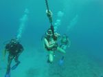 Hawaii Scuba divng 14