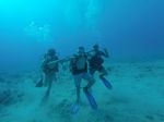 Hawaii Scuba divng 15