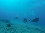 Hawaii Scuba divng 17