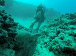 Hawaii Scuba divng 21